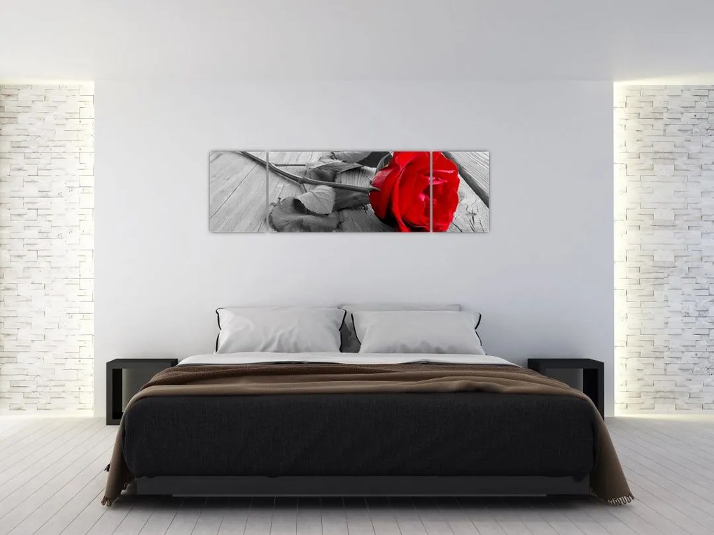 Obraz czerwonej róży (170x50 cm)