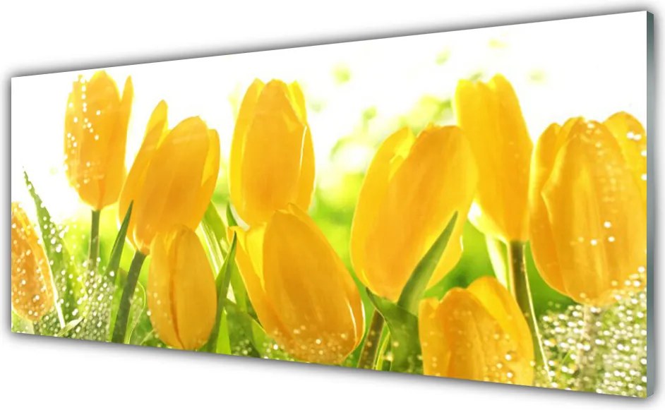 Szkło do Kuchni na Ścianę Tulipany w Pełnym Rozkwicie