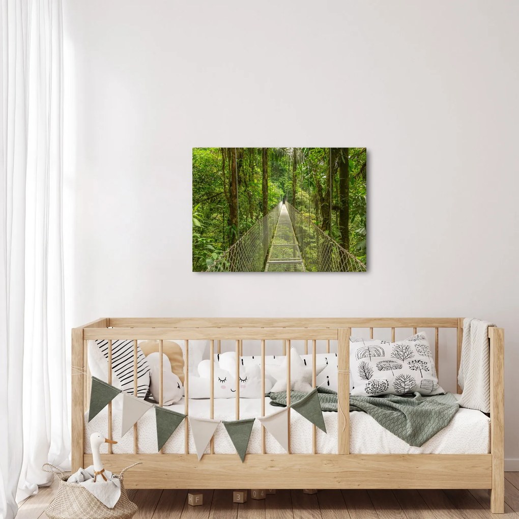 Obraz - Most wiszący (70x50 cm)
