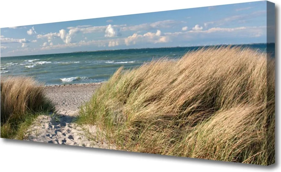 Obraz canvas Wydmy nad Lazurowym Morzem