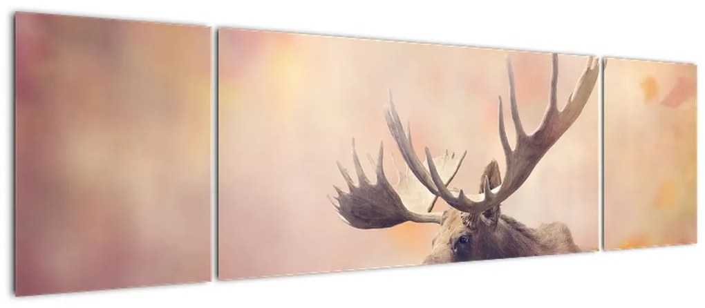 Obraz - Las w jesiennych liściach (170x50 cm)