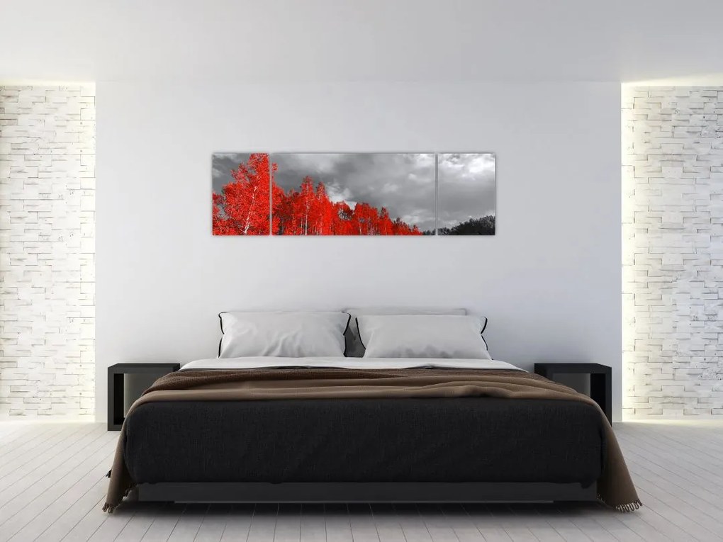 Obraz - Drzewa w kolorze jesieni (170x50 cm)