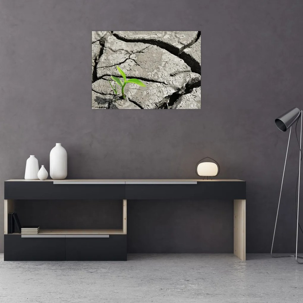 Obraz - Pęknięcia (70x50 cm)