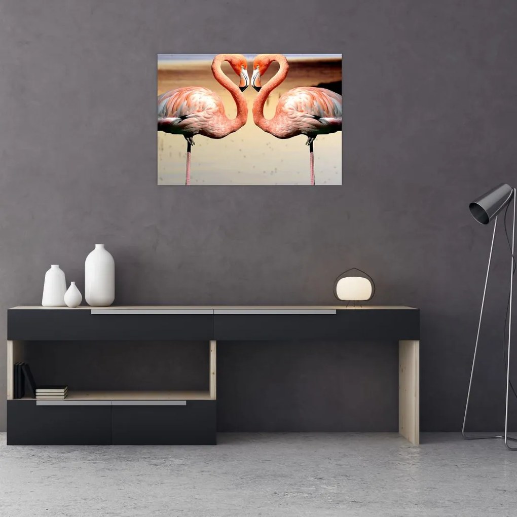 Obraz - dwa flamingi (70x50 cm)