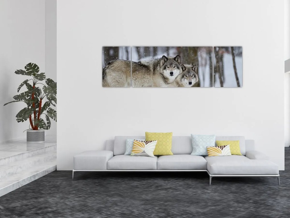 Obraz - Wilki zimą (170x50 cm)