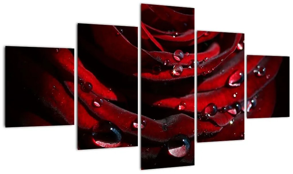 Obraz - Detal róży (125x70 cm)