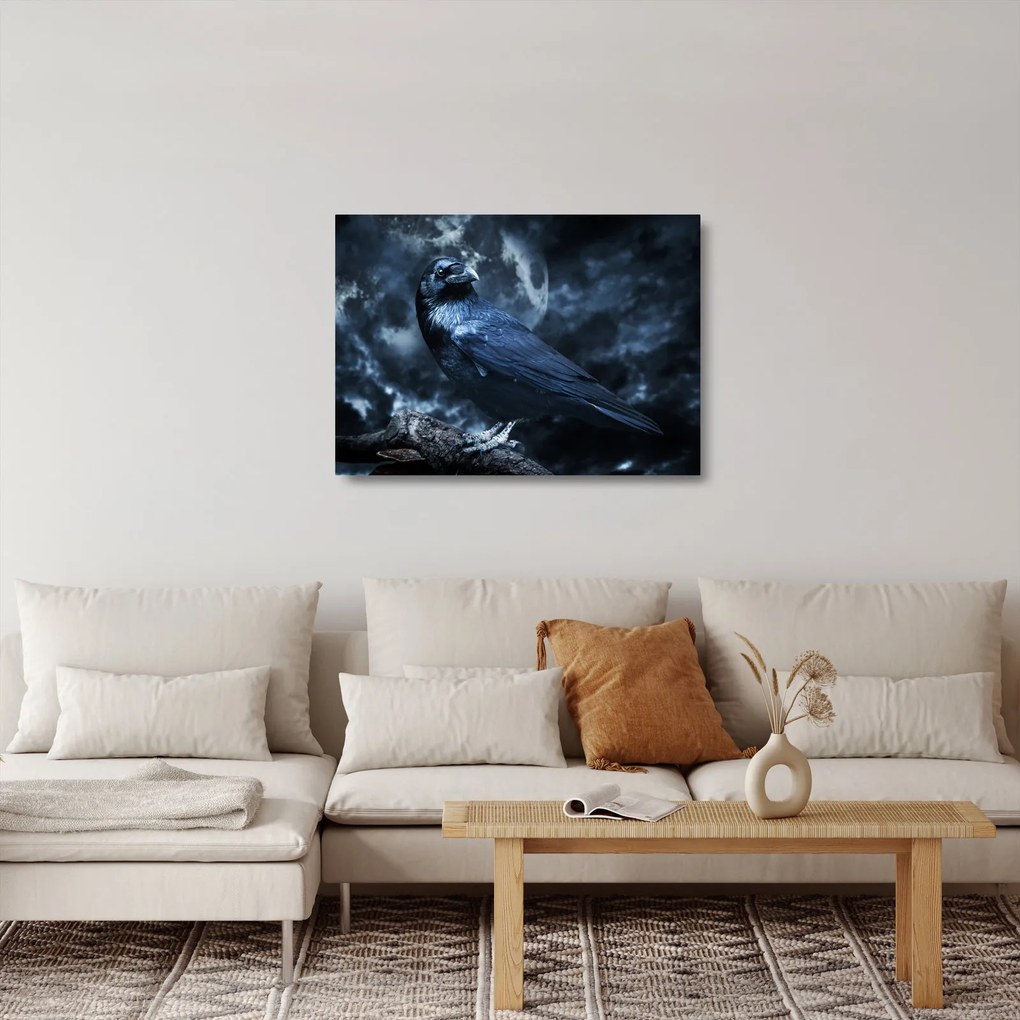 Obraz na szkle - Gawron (70x50 cm)