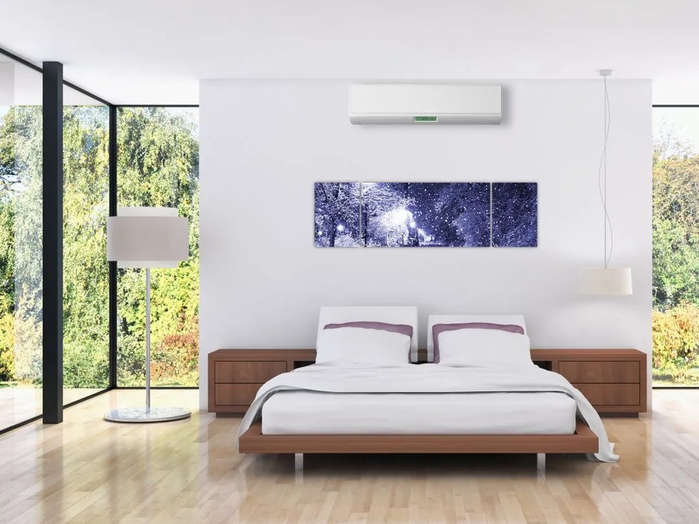 Obraz - Magiczna zimowa noc (170x50 cm)