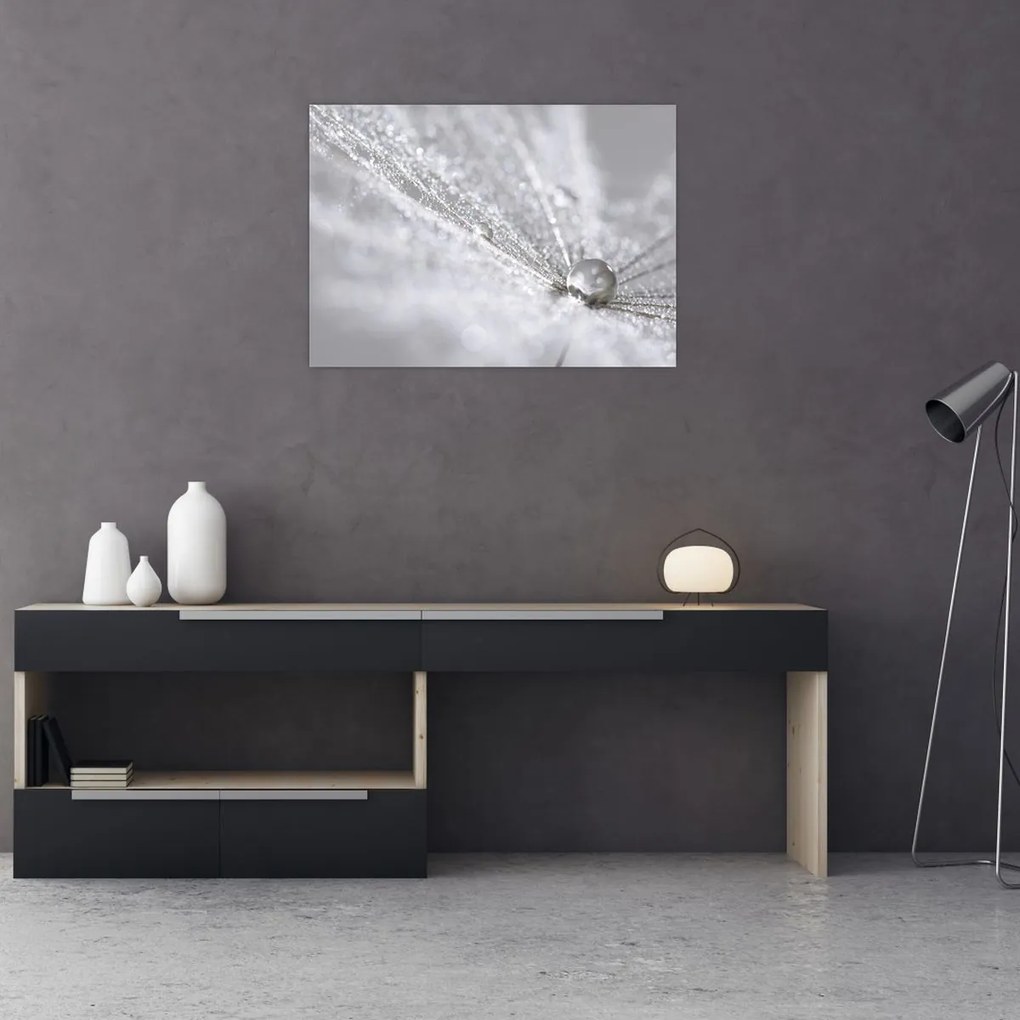 Obraz - Kropla wody (70x50 cm)