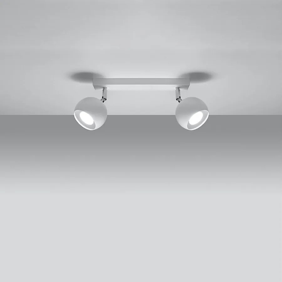 Plafony nowoczesny Rayis, stal - 2 źródło światła 3000K - L.30 x H.16 cm - biały