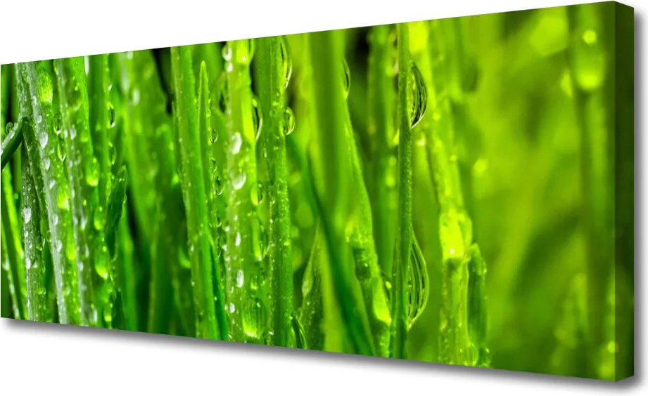 Obraz canvas Naturalna Tekstura Zielonej Trawy