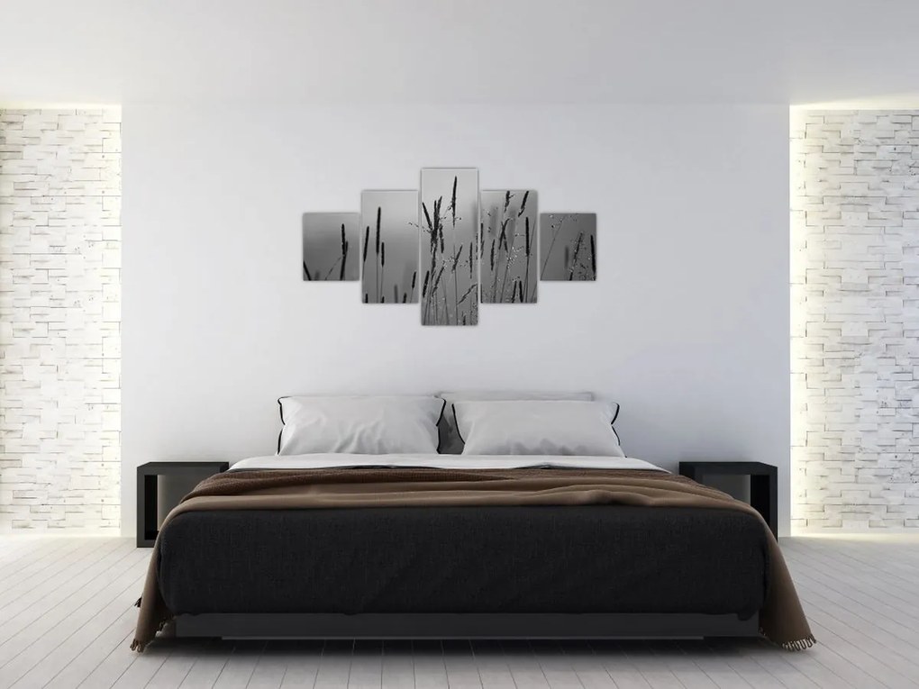 Obraz - źdźbła trawy (125x70 cm)