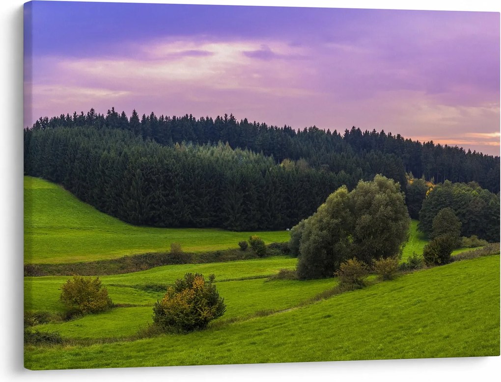 Obraz łąki (70x50 cm)