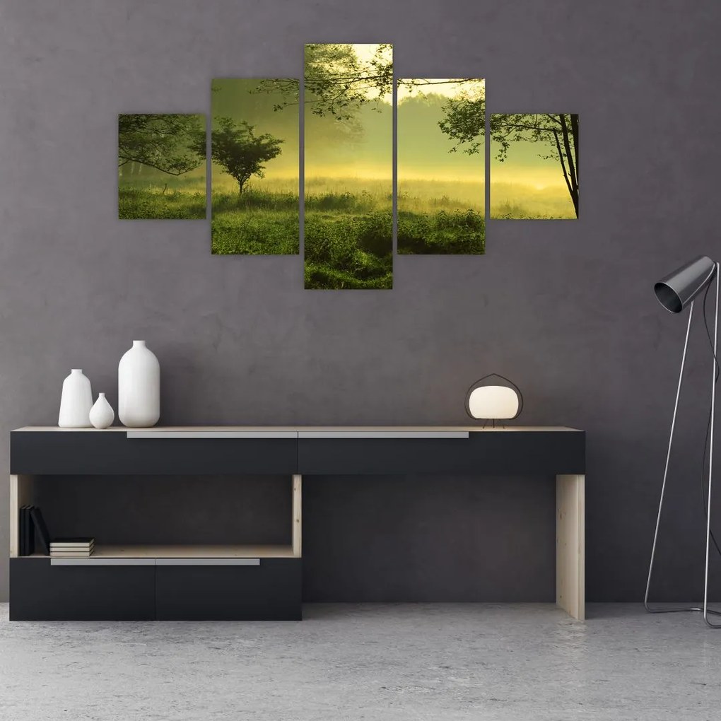 Obraz - Budzący się las (125x70 cm)