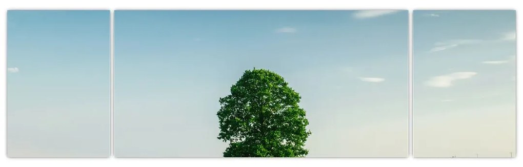 Obraz drzewa na środku łąki (170x50 cm)