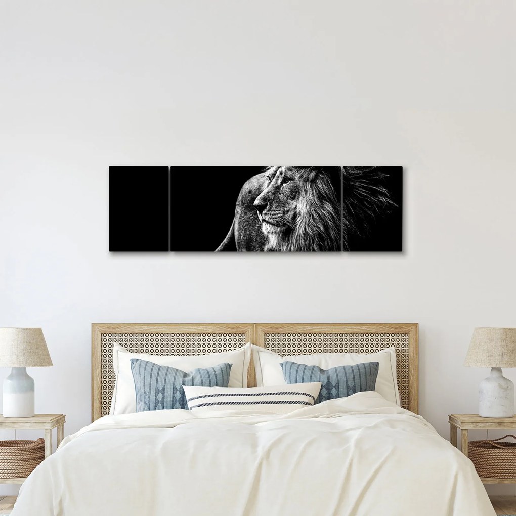 Obraz - Lew, czarno-biały (170x50 cm)