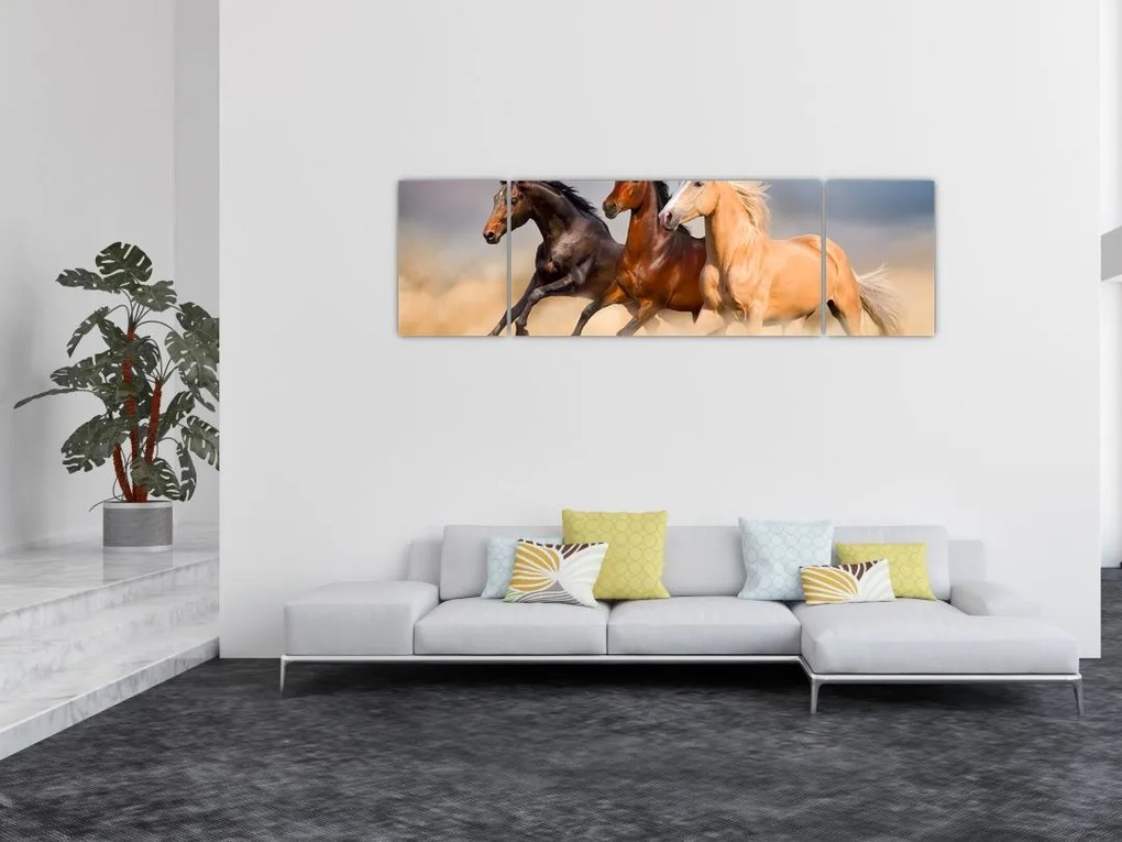 Obraz - Dzikie konie (170x50 cm)