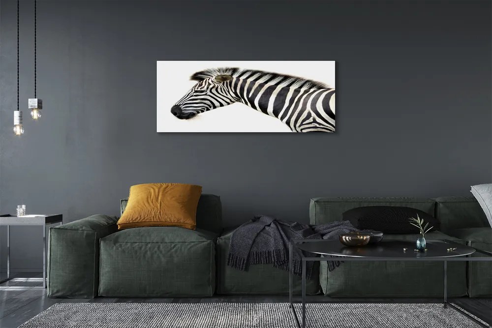 Zdjęcie na płótnie Samotna Zebra
