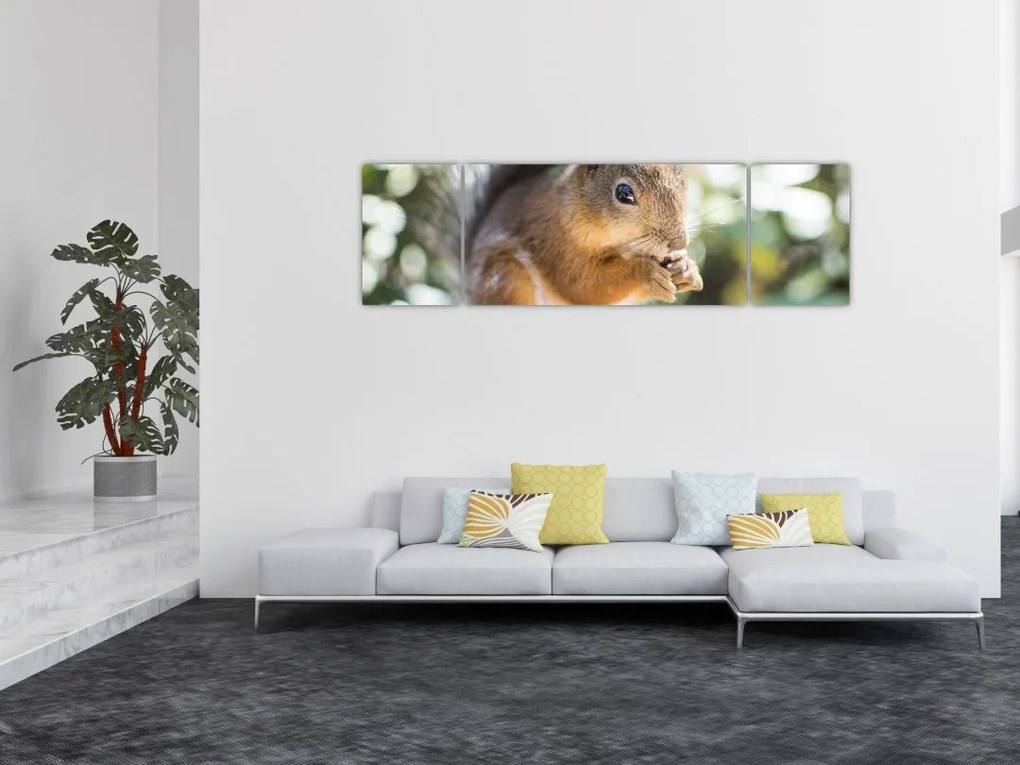 Obraz wiewiórki (170x50 cm)