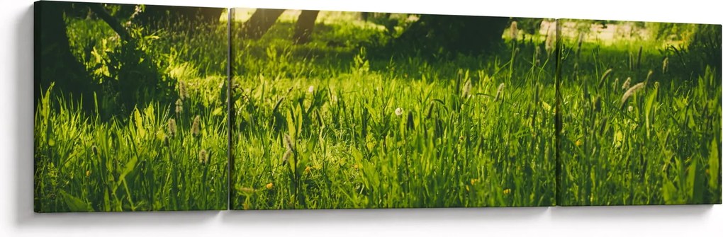 Obraz natury - łąka (170x50 cm)