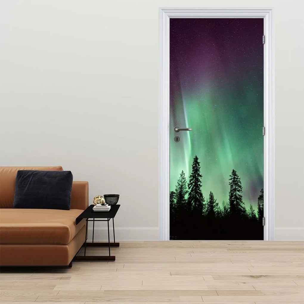 Fototapeta na drzwi - Zorza polarna (95x205cm)