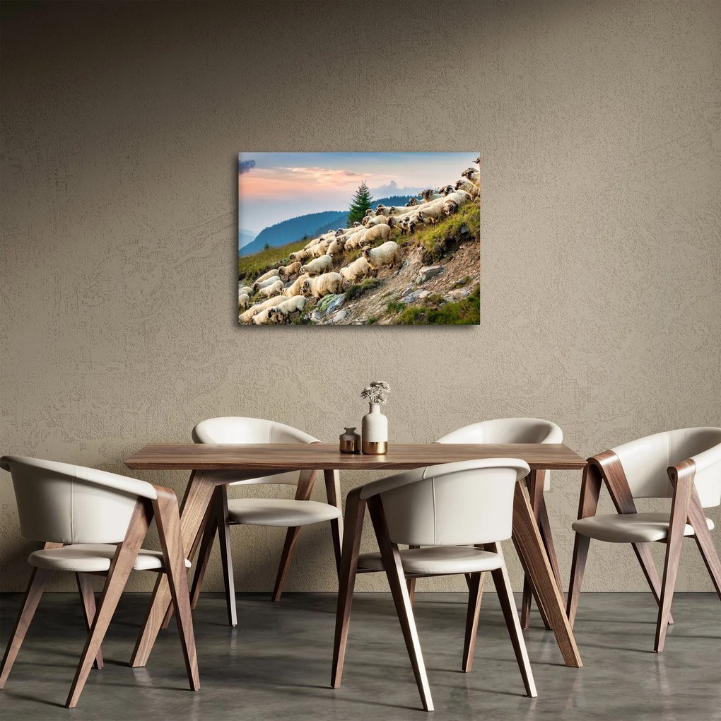 Obraz - Stado owiec (70x50 cm)