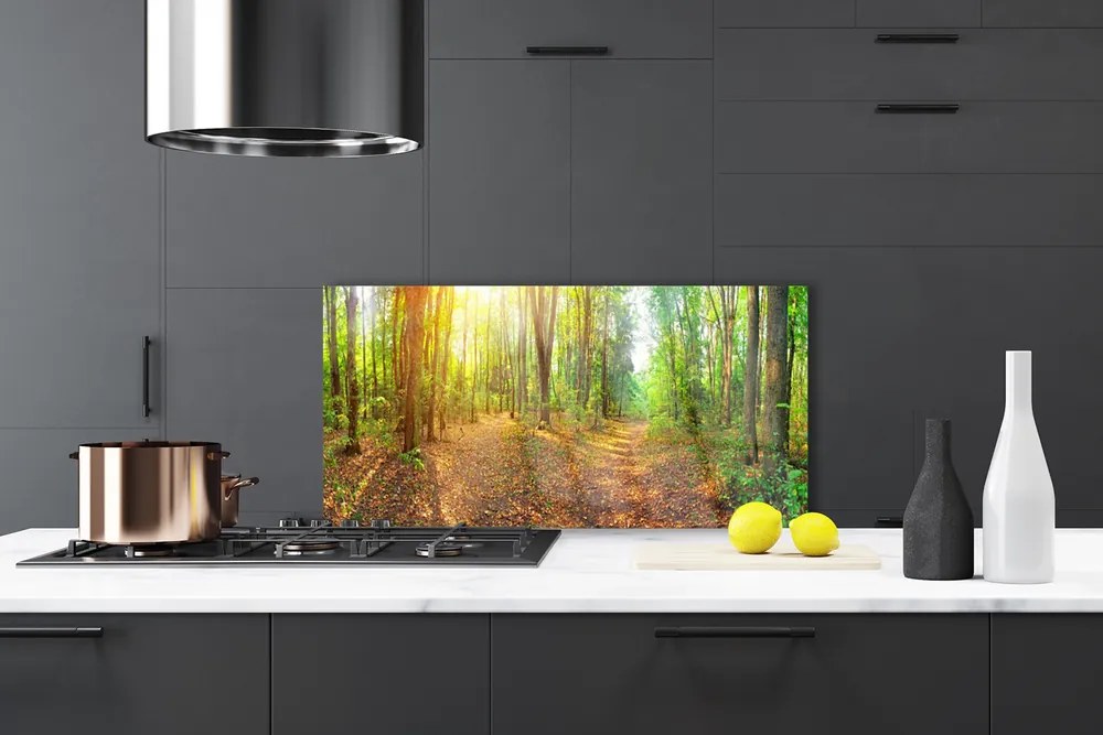 Panel Szklany Słoneczny Prześwit w Lesie