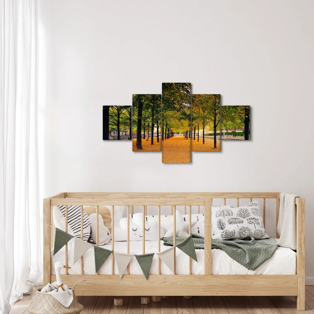 Obraz alei jesiennych drzew (125x70 cm)