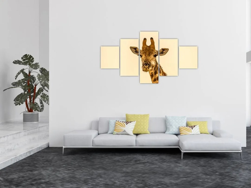 Obraz żyrafy (125x70 cm)