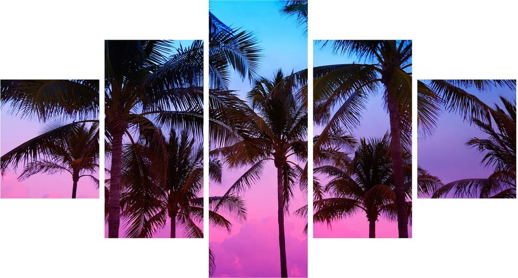 Obraz - Palmy w Miami (125x70 cm)