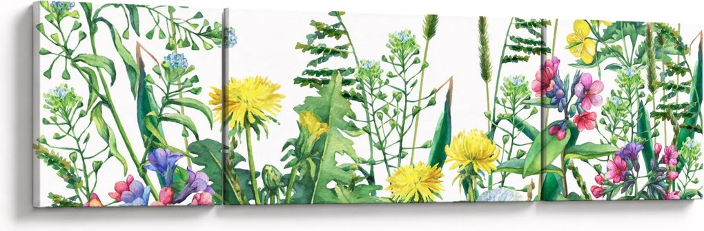 Obraz - Malowane kwiaty łąkowe (170x50 cm)