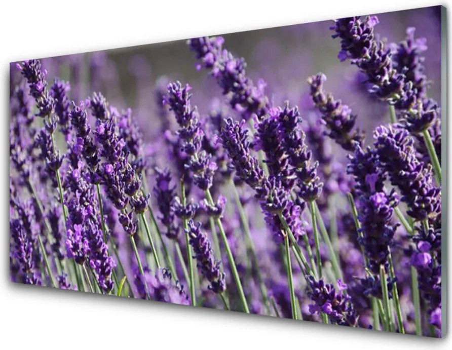 Panel Kuchenny Kompozycja Kwiatowa Na Szkle