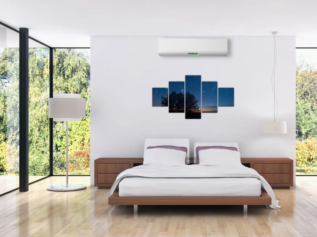 Obraz drzew w nocy (125x70 cm)