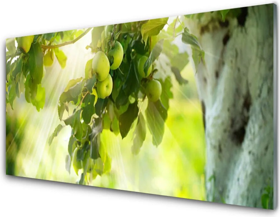 Panel Szklany Dojrzałe Jabłka Na Gałęzi