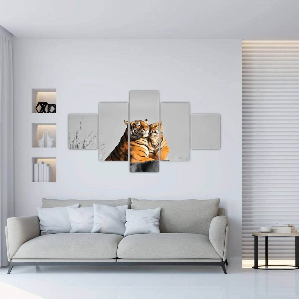 Obraz - Tygrysica i jej młode, wersja czarno - biała (125x70 cm)