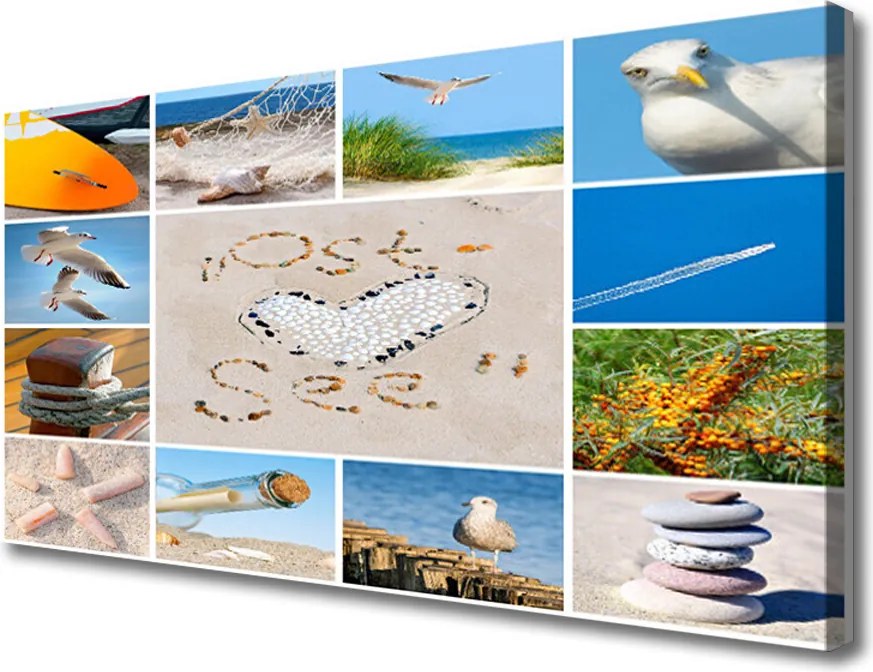 Obraz canvas Mewy nad Brzegiem Oceanu