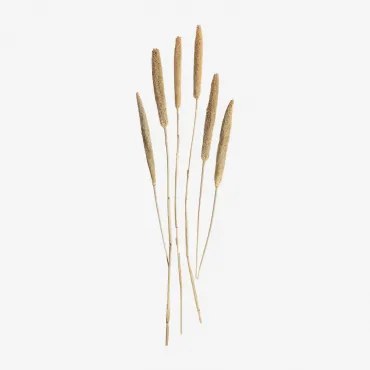 Ramo Dekoracyjny Koty Kremowa - Sklum