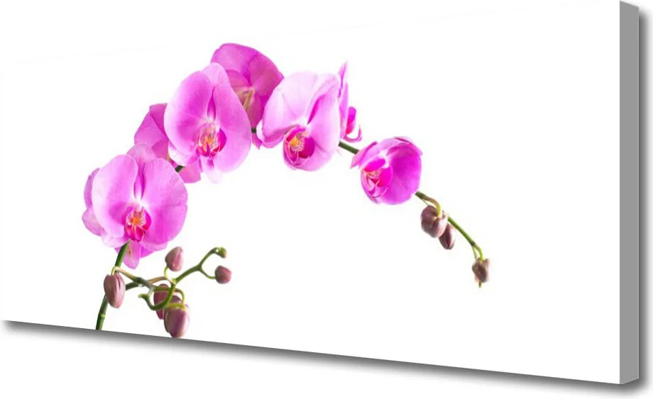 Obraz canvas Wyrafinowany Ogród Botaniczny