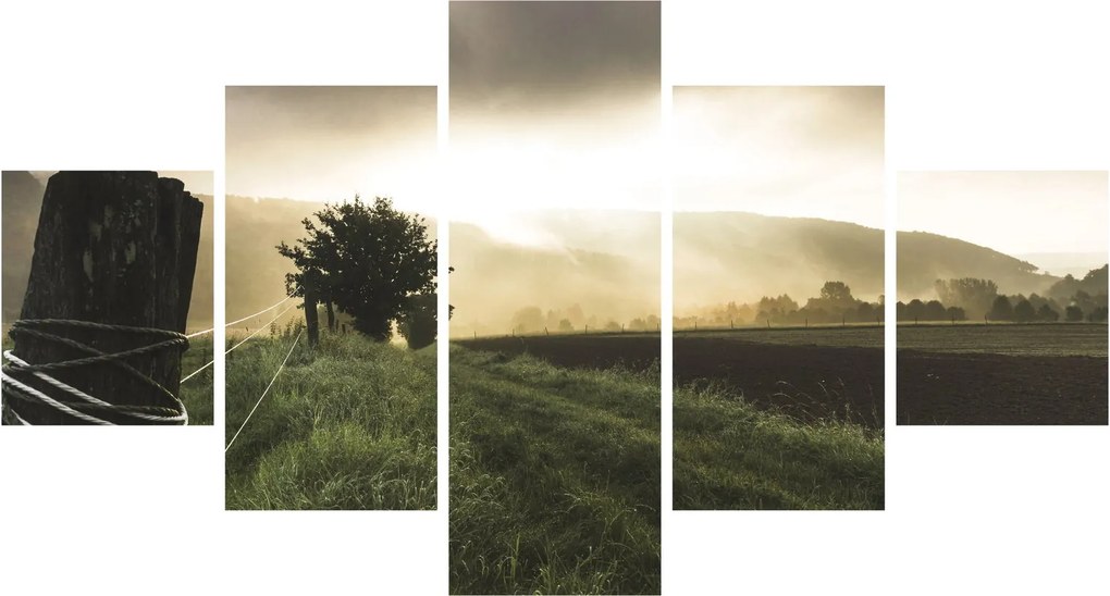 Obraz łąki (125x70 cm)