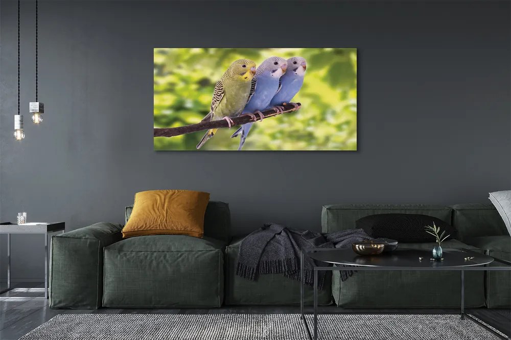 Zdjęcie na płótnie Papugi na Tropikalnej Gałęzi