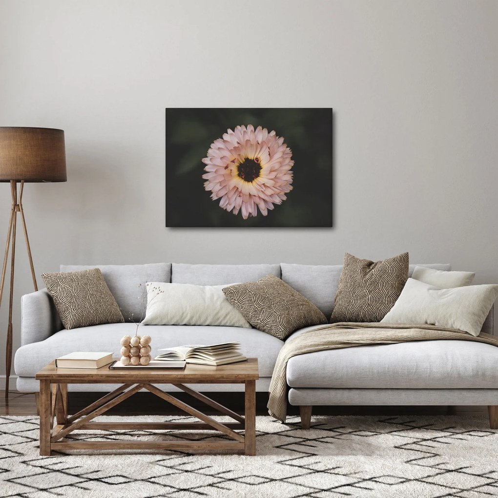 Obraz pomarańczowego kwiatu (70x50 cm)