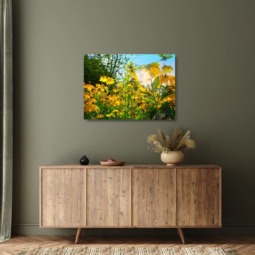 Obraz na szkle żółtych kwiatów (70x50 cm)