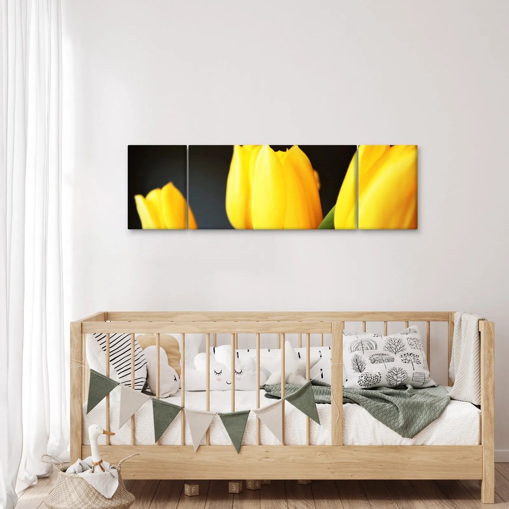 Obraz tulipanów (170x50 cm)