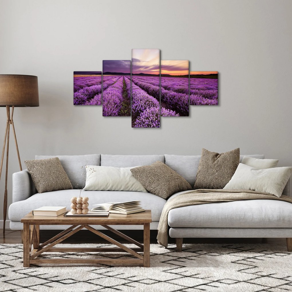 Obraz - Pole lawendy o zachodzie słońca (125x70 cm)