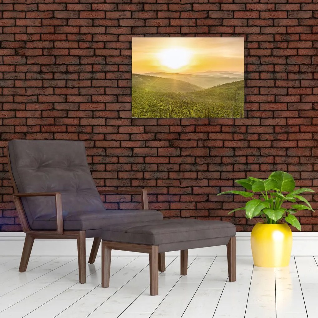Obraz panoramiczny (70x50 cm)