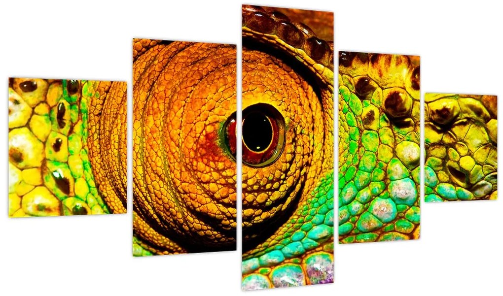 Obraz - Kameleon (125x70 cm)