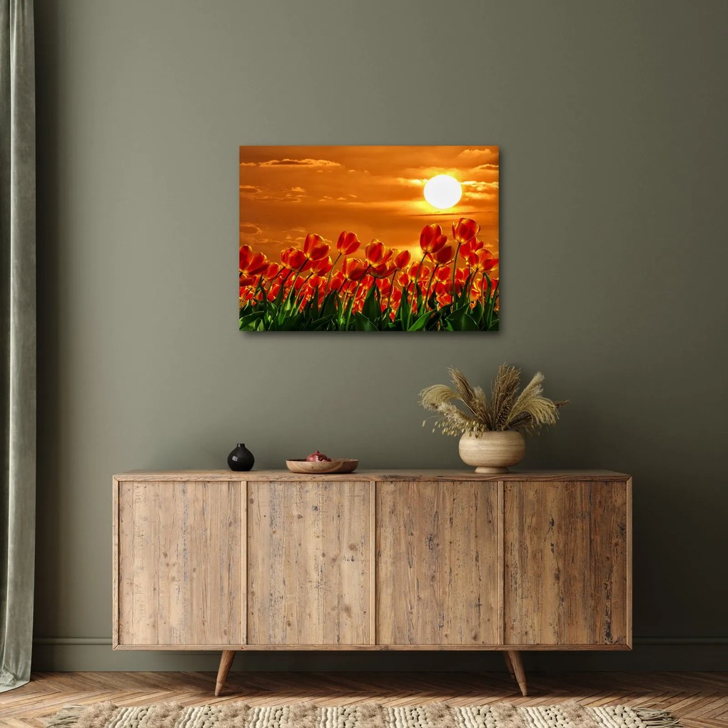 Obraz kwitnącego pola z tulipanami (70x50 cm)