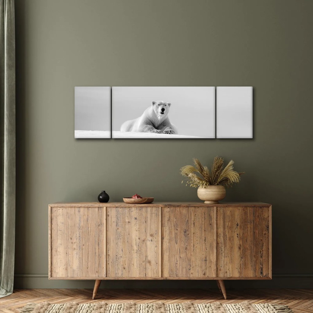 Obraz - Niedźwiedź polarny, czarno - biały (170x50 cm)