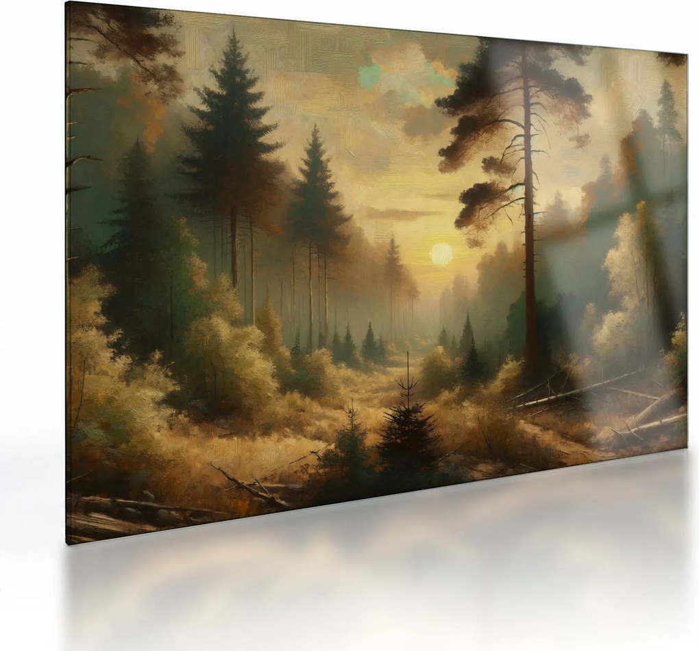Obraz na szkle - Słońce świecące przez las (70x50 cm)