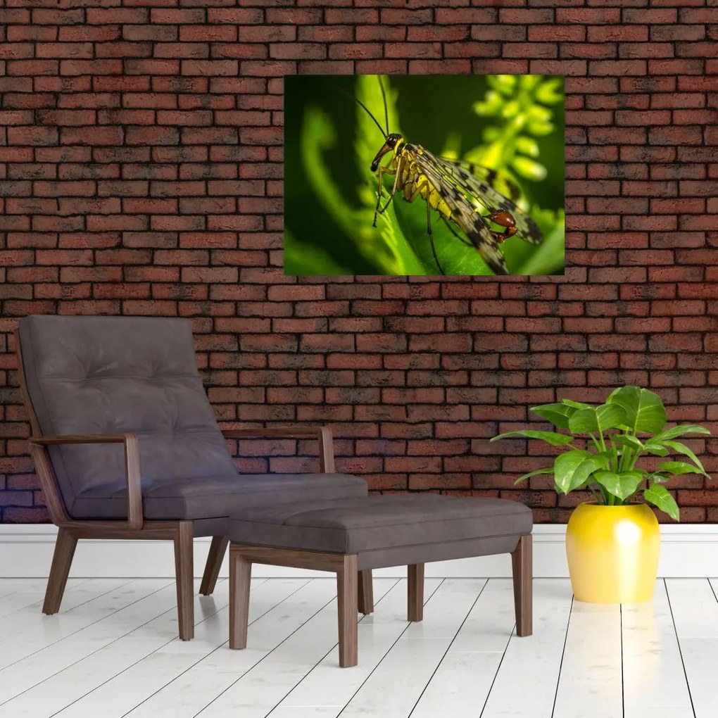 Obraz na szkle - owad (70x50 cm)